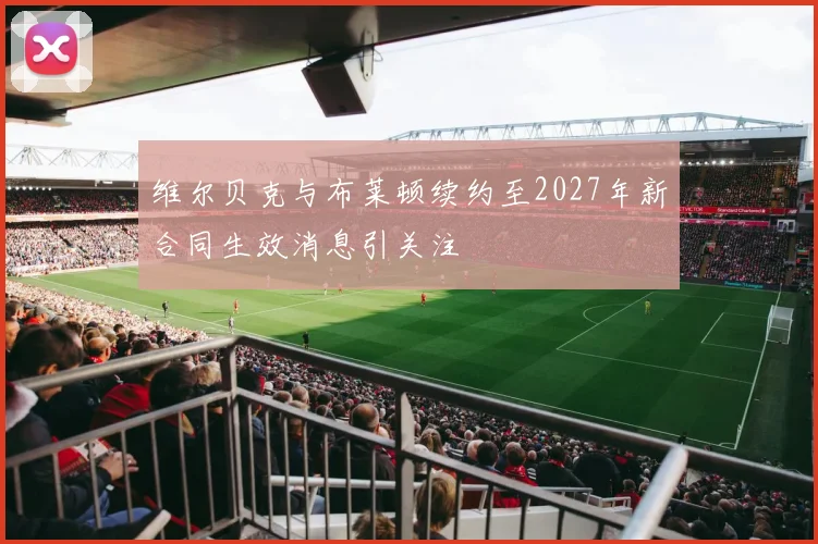 维尔贝克与布莱顿续约至2027年新合同生效消息引关注