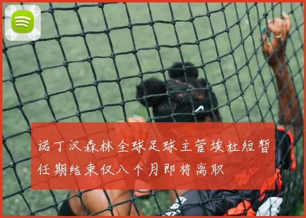 诺丁汉森林全球足球主管埃杜短暂任期结束仅八个月即将离职